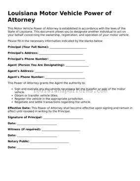 Louisiana Motor Vehicle Power of Attorney Form